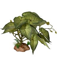 Растение для рептилий 15