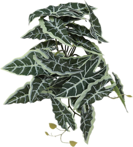 Растение для рептилий 11