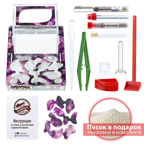 Стартовый комплект с муравьями XXL emerald