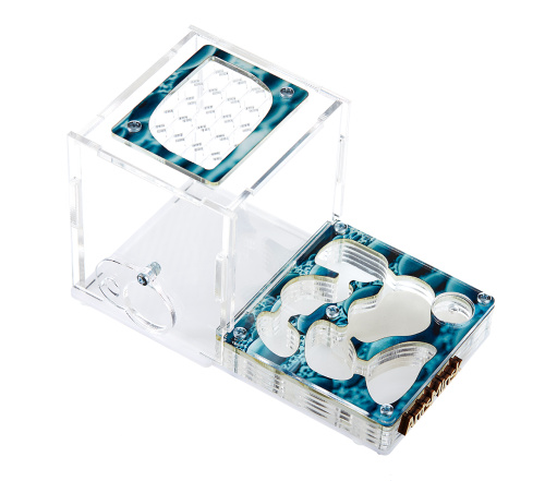 Стартовый комплект с муравьями XL rain фото 2