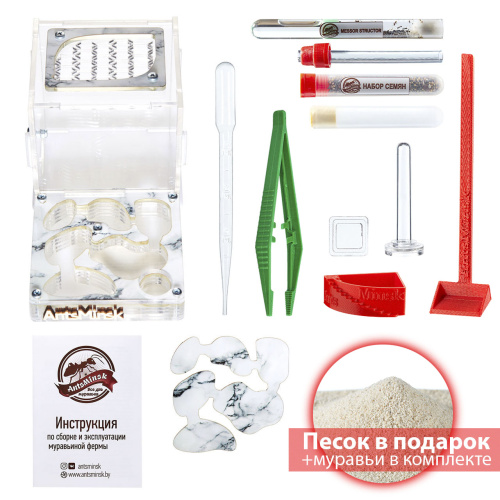 Стартовый комплект с муравьями XL marble