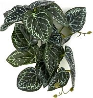 Растение для рептилий 12