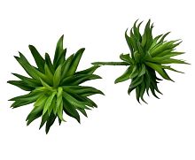 Растение для террариума пластиковое NOVAMARK TERRA суккулент Эхеверия Эбони (зеленая) 15 см