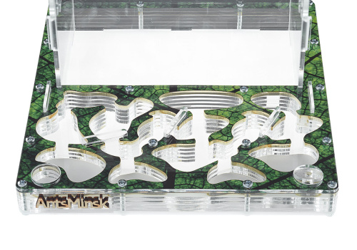 Стартовый комплект с муравьями XXXL sheet фото 3