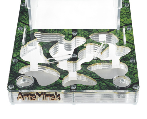 Стартовый комплект с муравьями XXL sheet фото 3