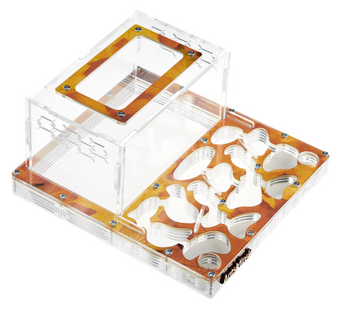 Стартовый комплект с муравьями XXXL autumn фото 2