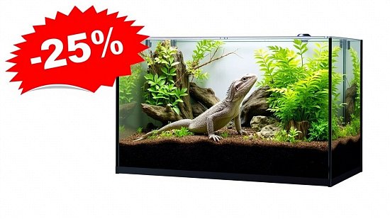 Распродажа террариумов