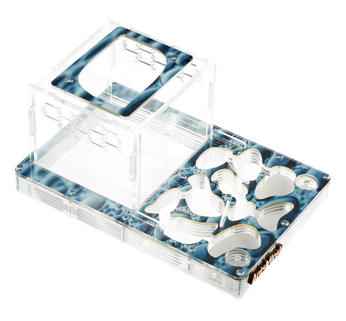 Стартовый комплект с муравьями XXL rain фото 2