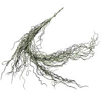 Растение для террариума пластиковое NOVAMARK TERRA Тилландсия уснеевидная зеленая 70 см