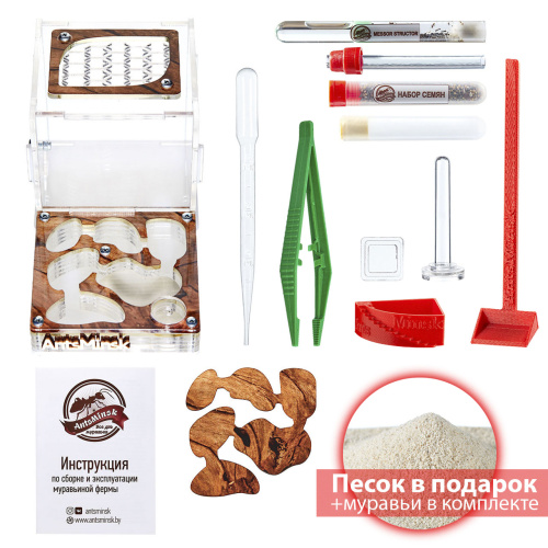 Стартовый комплект с муравьями XL tree