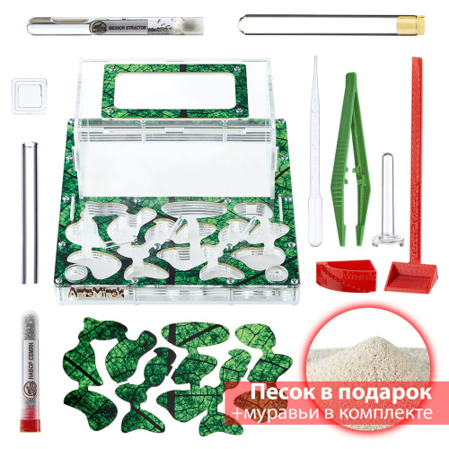 Стартовый комплект с муравьями XXXL sheet