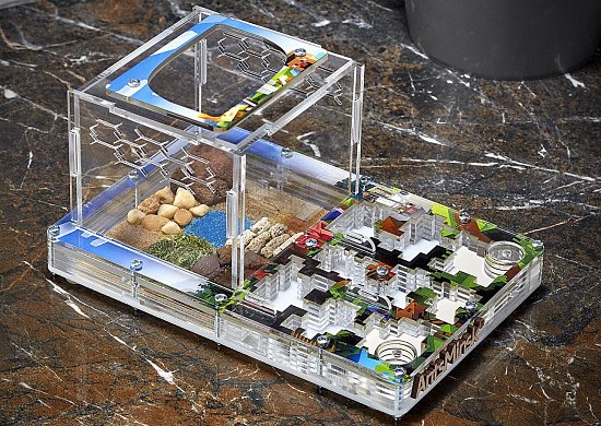 Муравьиные фермы в стиле Minecraft