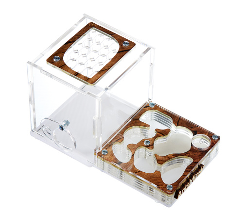 Стартовый комплект с муравьями XL tree фото 2