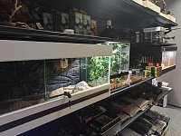 Мы не только онлайн — у нас есть шоурум!