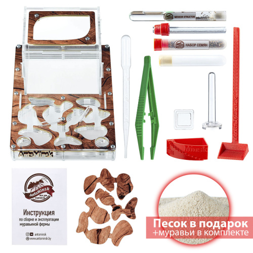 Стартовый комплект с муравьями XXL tree