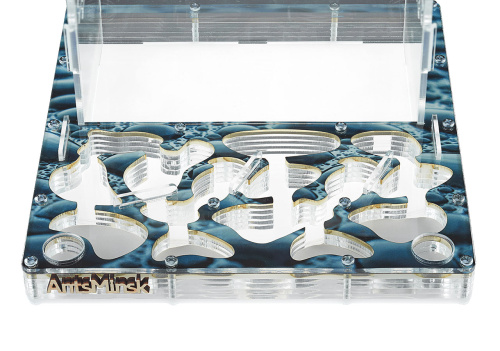 Стартовый комплект с муравьями XXXL rain фото 3