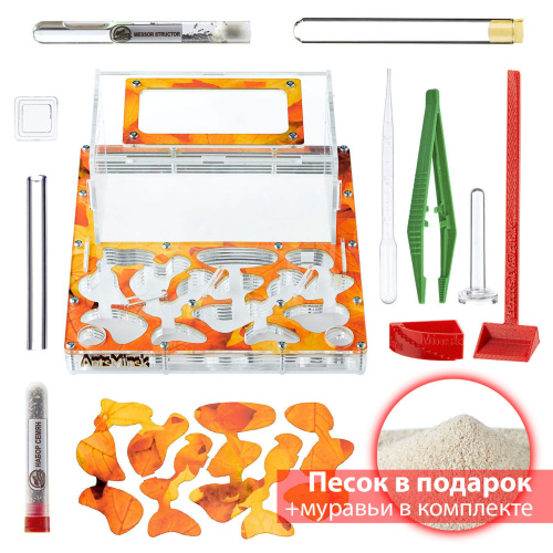 Стартовый комплект с муравьями XXXL autumn