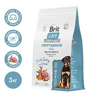 Сухой корм для здорового роста щенков крупных пород с индейкой и ягненком Dog Puppy&Junior L Healthy Growth, 3 кг