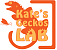  Kate's Geckos Lab