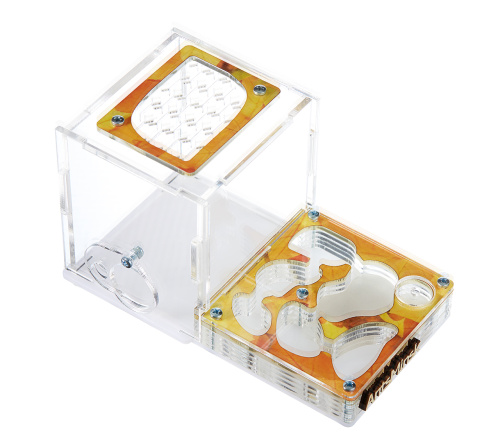 Стартовый комплект с муравьями XL autumn фото 2