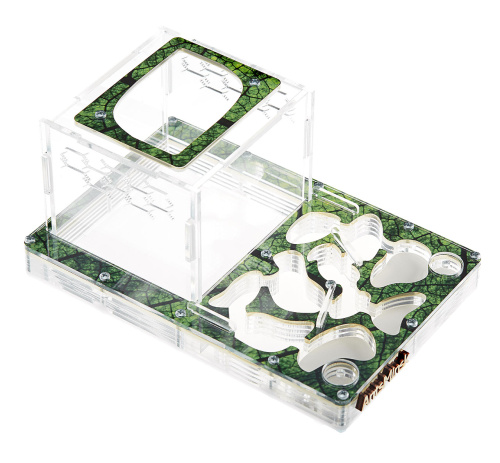 Стартовый комплект с муравьями XXL sheet фото 2