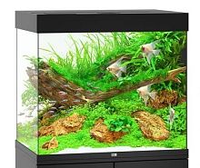 Juwel Аквариум укомплектованный Lido 200 Черный (71 x 51 x 65 см, 37 кг.)