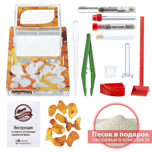 Стартовый комплект с муравьями XXL autumn