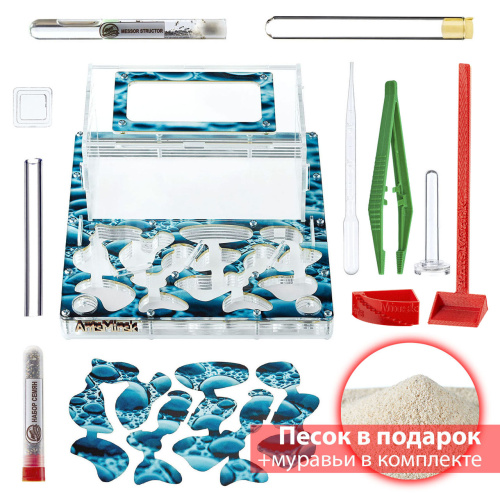 Стартовый комплект с муравьями XXXL rain