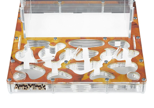 Стартовый комплект с муравьями XXXL autumn фото 3