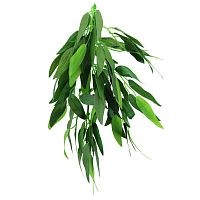 Растение "Рускус" TP001, 500мм