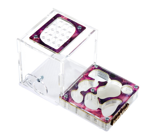 Стартовый комплект с муравьями XL emerald фото 2