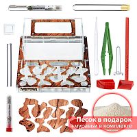 Стартовый комплект с муравьями XXXL tree