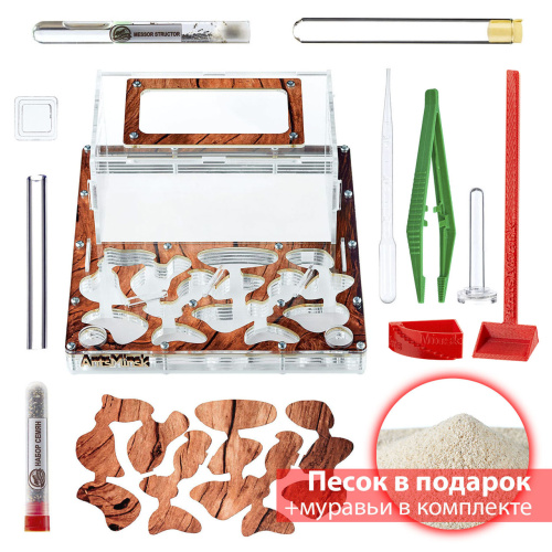 Стартовый комплект с муравьями XXXL tree