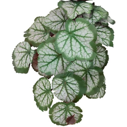 Растение для рептилий 05