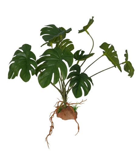 Растение для рептилий 17