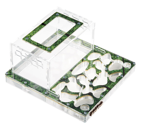 Стартовый комплект с муравьями XXXL sheet фото 2