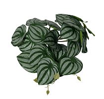 Растение для рептилий 07